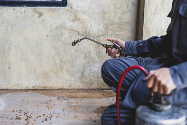 Best Commercial Pest Control Services  in York, NE